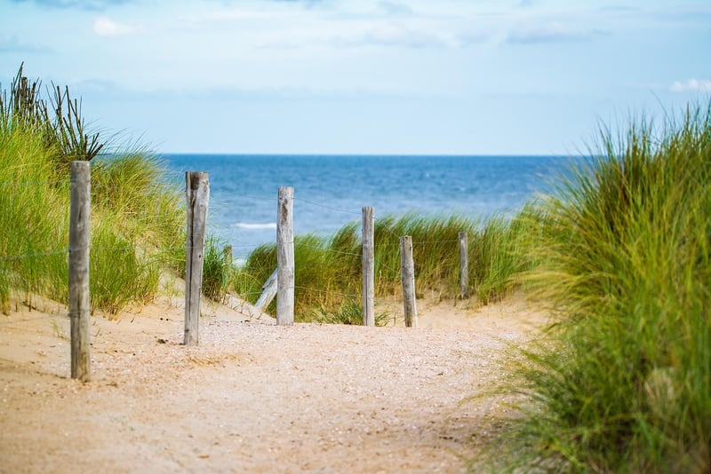 Beach Walk